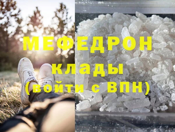 крисы Бородино