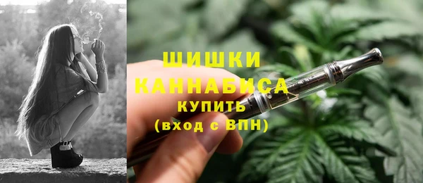 крисы Бородино
