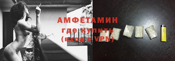 крисы Бородино