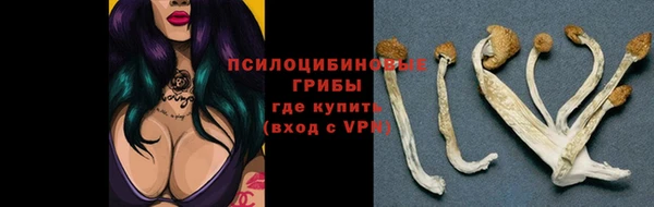 mdpv Верея
