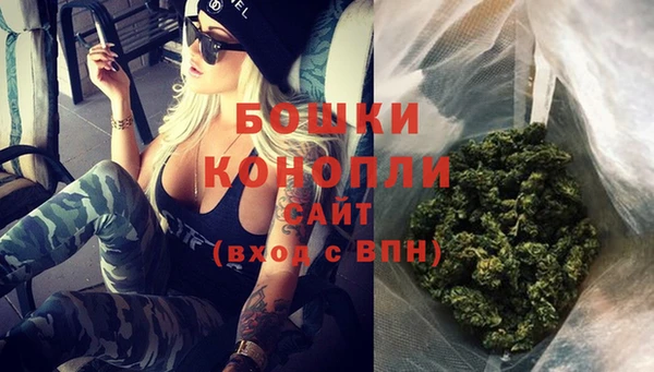крисы Бородино