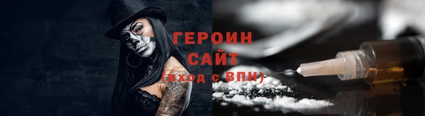 крисы Бородино