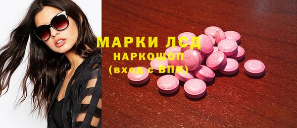 крисы Бородино