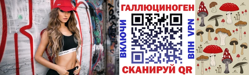 как найти Мытищи Псилоцибиновые грибы Cubensis